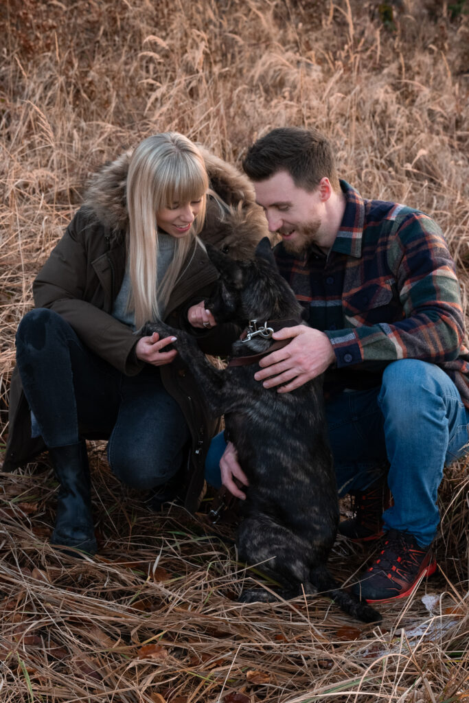 Dog foto, Dog shooting, Family